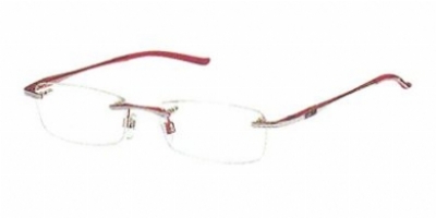 JUST CAVALLI 22 in N34