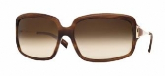 OLIVER PEOPLES DULAINE in OLIVETORTOISE