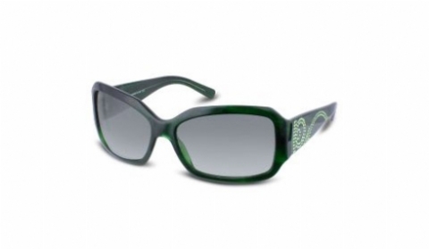 FERRAGAMO 2106B in 53411