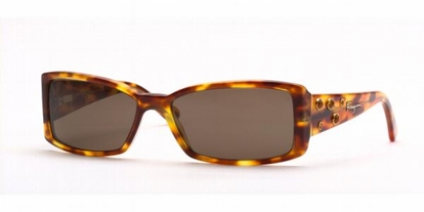 FERRAGAMO 2115B in 4843