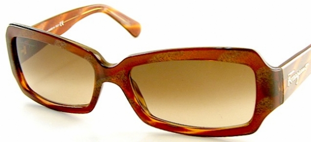 FERRAGAMO 2108 in 45713