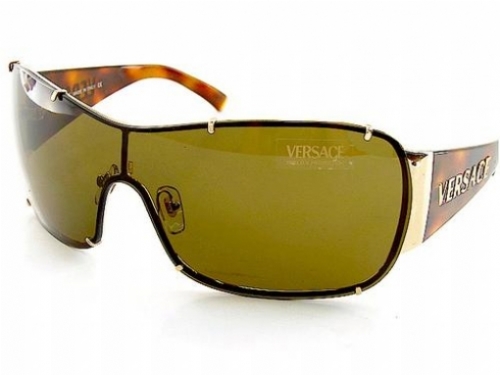 VERSACE 2057 in 100273