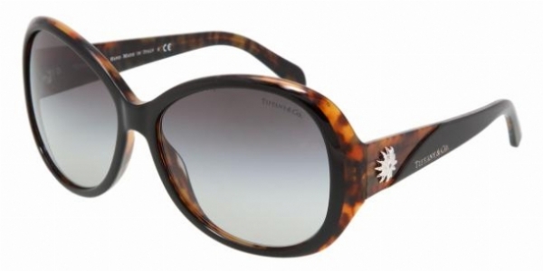 TIFFANY 4027G in 80503C