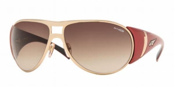 ARNETTE 3053 in 57213