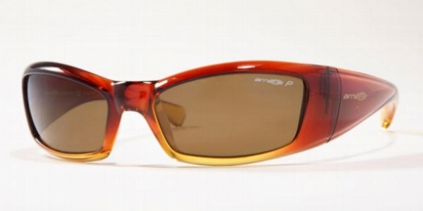 ARNETTE 4025 in 21783