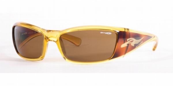 ARNETTE 4077 in 19783