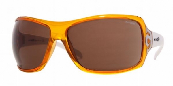 ARNETTE 4091 in 39373