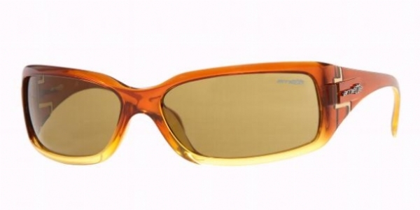 ARNETTE 4099 in 21773