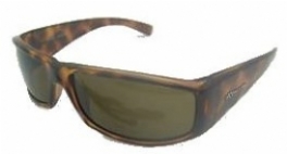 ARNETTE 4079 in 34673