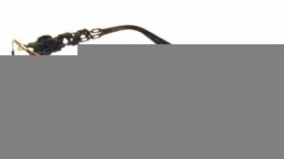 ED HARDY EHO705 in COCOA