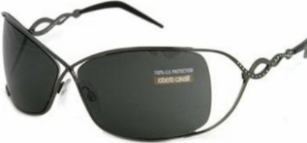 ROBERTO CAVALLI ADE 217S in 731