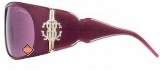 ROBERTO CAVALLI DEMODOCO 224S in 225