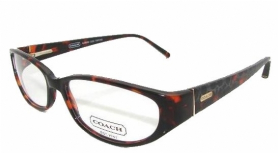 COACH AURORA 535 in 215