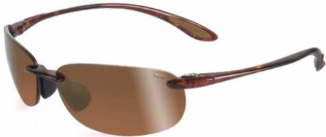 KICKBACK POLARIZED