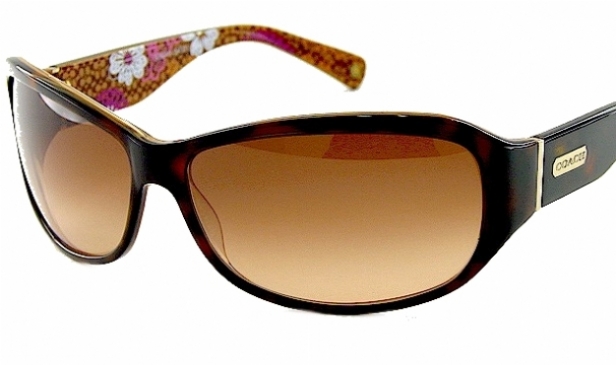 COACH SARAH 437 in 215