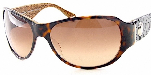 COACH TRACI 463 in 215