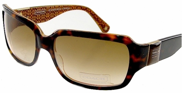 COACH DELPHINE 443 in 215