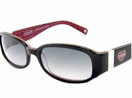 COACH LINDSAY 429 in 001