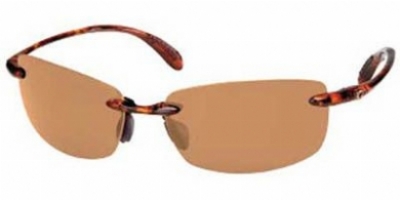 COSTA DEL MAR BALLAST in SHINYTORTOISEAMBERCOSTA400