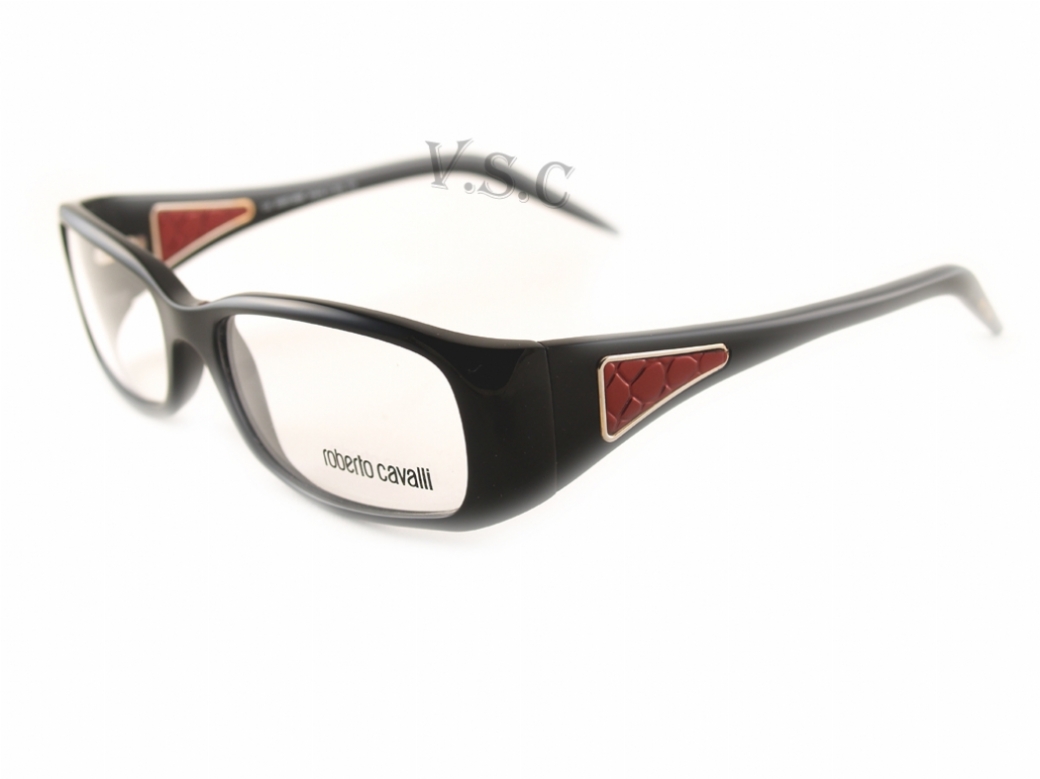 ROBERTO CAVALLI DOLOMITE 425 in B5