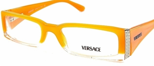 VERSACE 3049B in 361