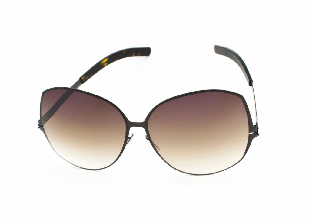 IC BERLIN LUNDI in 45427