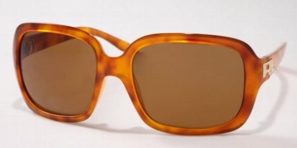 RALPH LAUREN 8006 in 505873