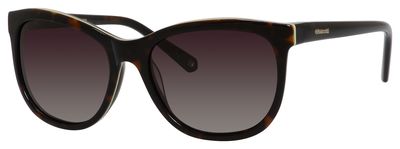 POLAROID 4004 in DV1LA