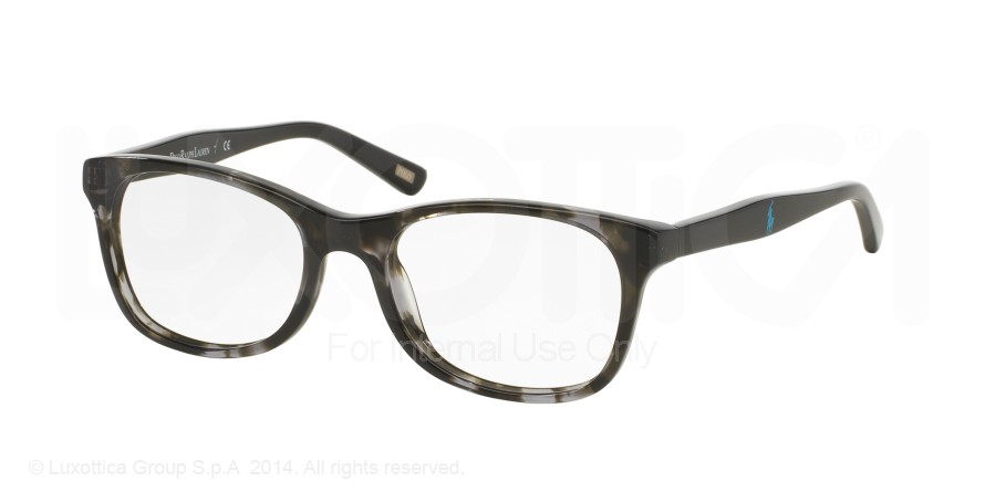 POLO PREP 8522 in 1308