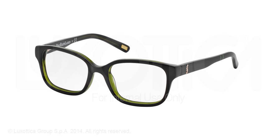 POLO PREP 8520 in 597