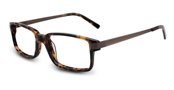 REMBRAND INDIE BRIAN in TORTOISE
