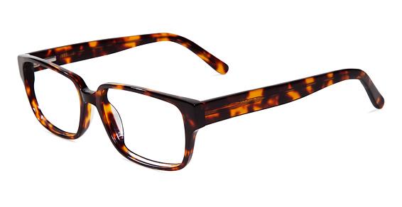REMBRAND INDIE ANTHONY in TORTOISE