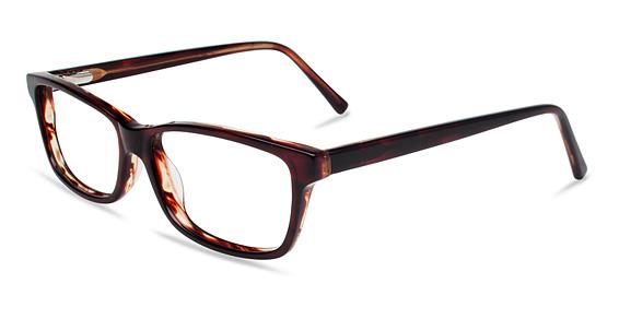 REMBRAND INDIE HOWARD in TORTOISE