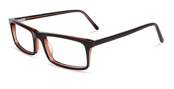 REMBRAND INDIE HAROLD in TORTOISE