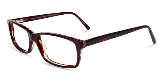 REMBRAND INDIE ADAM in TORTOISE