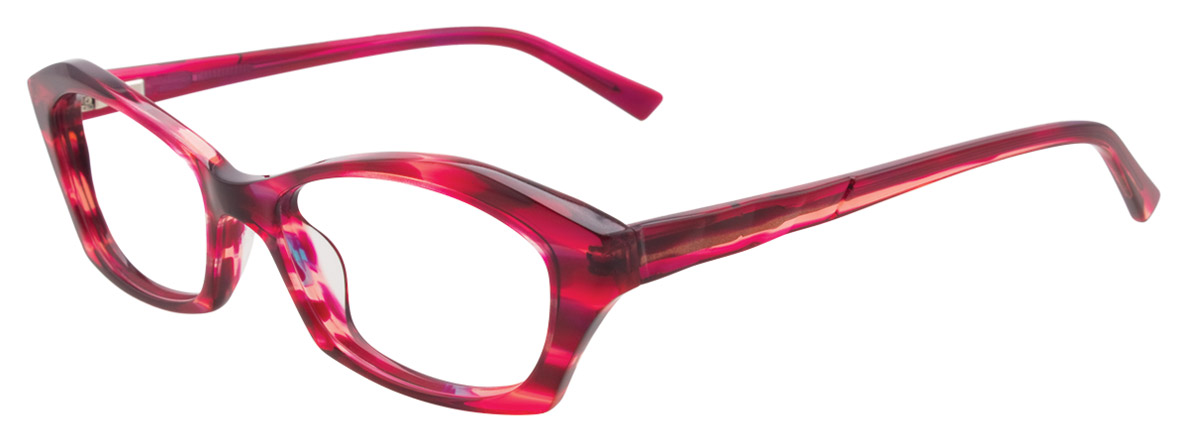 PARADOX P5004 in 030