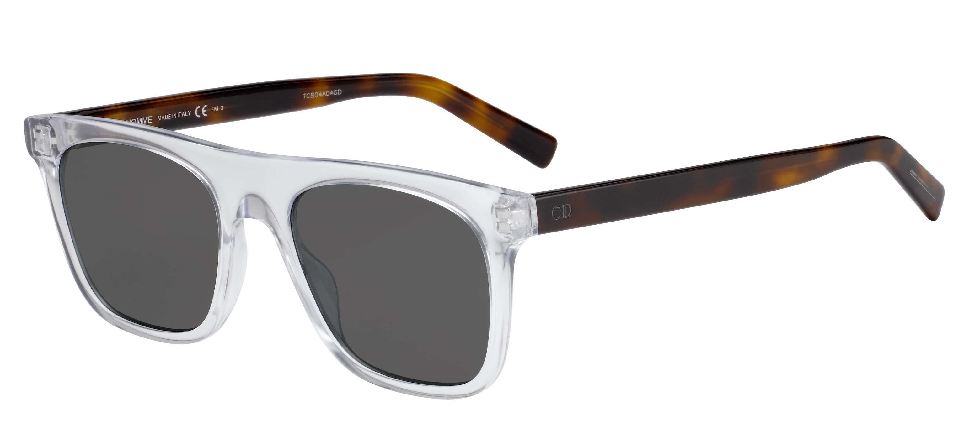 DIOR HOMME WALK in LWP2K